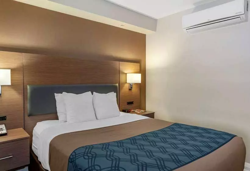 酒店 Econolodge Downtown Toronto