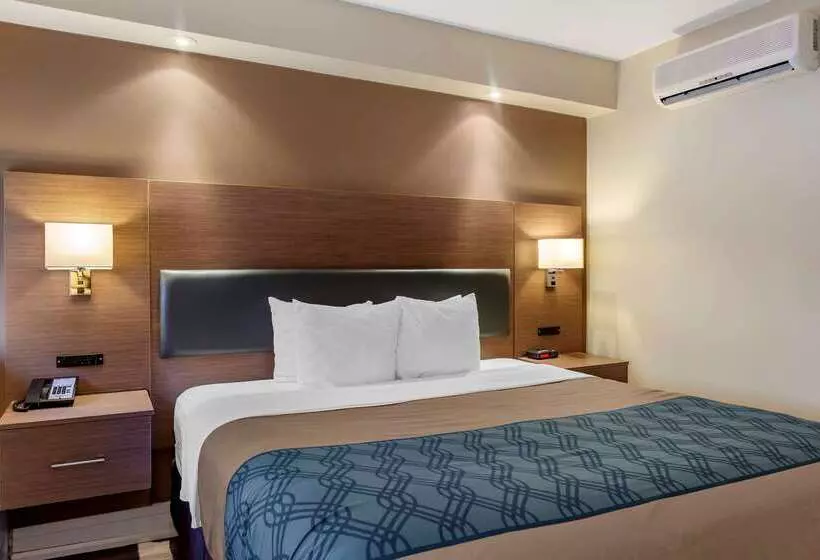 酒店 Econolodge Downtown Toronto