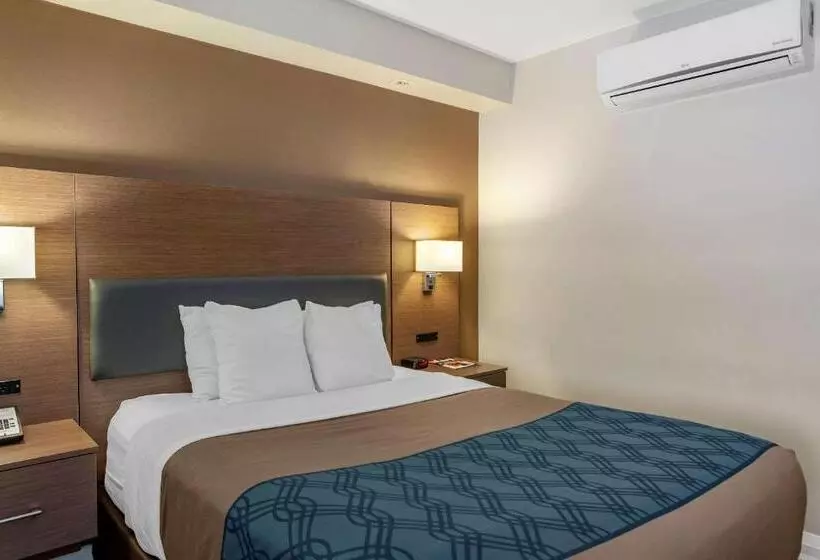 酒店 Econolodge Downtown Toronto