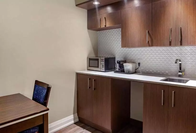 酒店 Econolodge Downtown Toronto