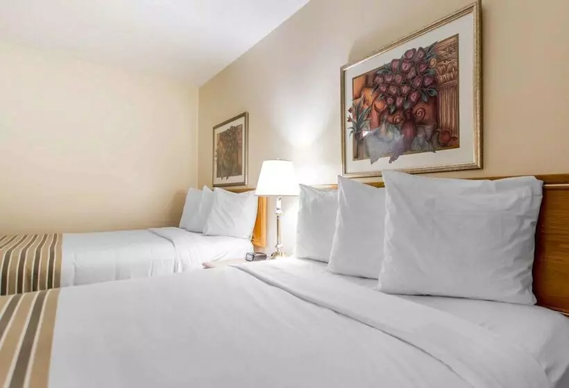 בית מלון כפרי Econo Lodge New Liskeard