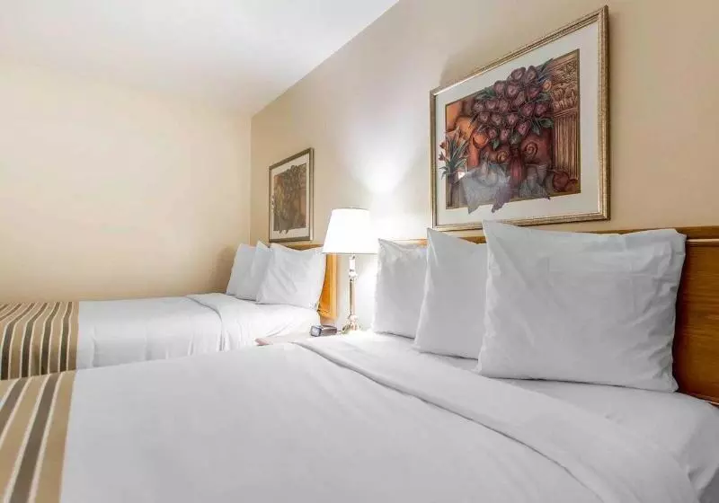 בית מלון כפרי Econo Lodge New Liskeard