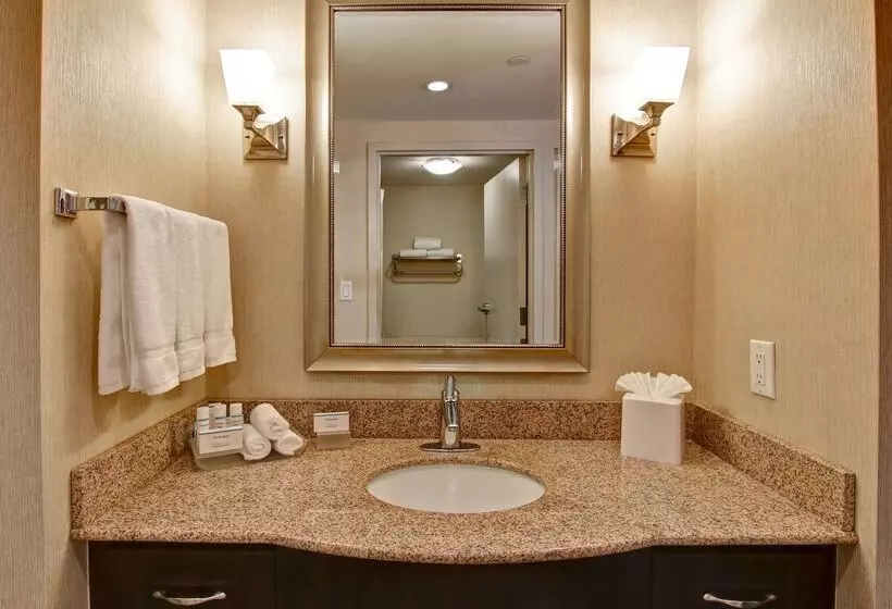 Отель Homewood Suites By Hilton Burlington