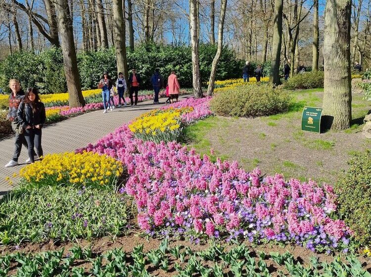 Van Der Valk Hotel Avifauna