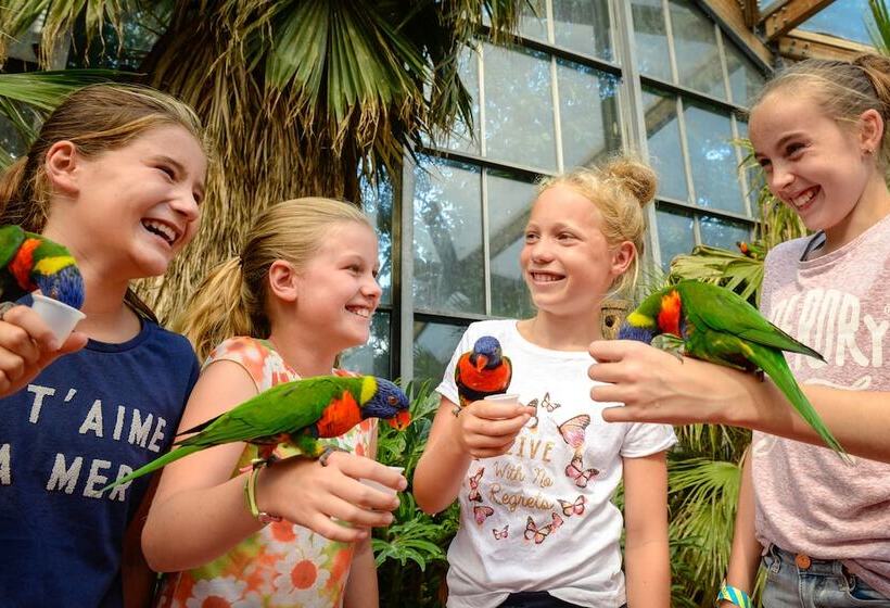 Van Der Valk Hotel Avifauna