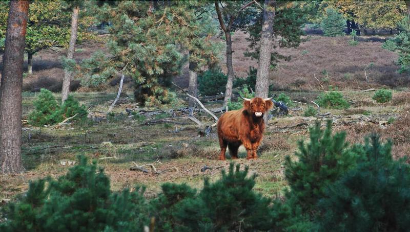 Van Der Valk Hotel De Molenhoek Nijmegen