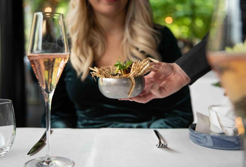 בית מלון כפרי Wicc