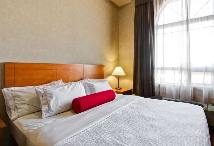 מוטל Canalta Provost