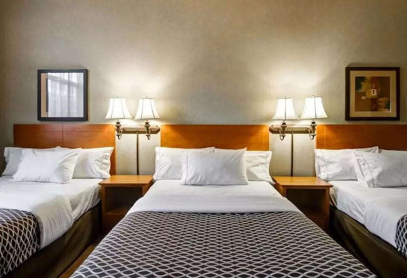 모텔 Canalta Provost