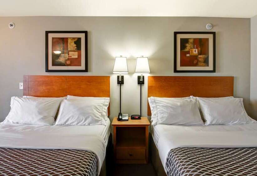 מוטל Canalta Provost