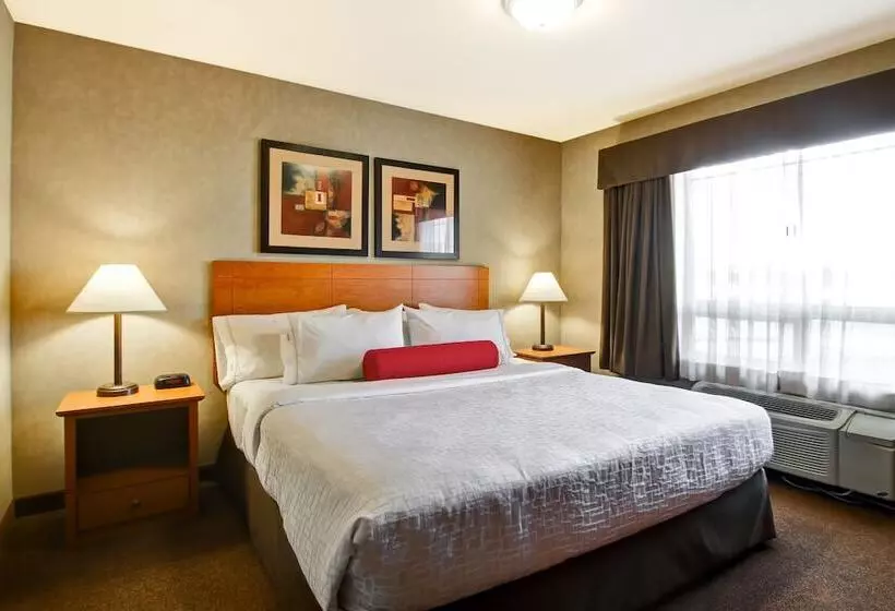 모텔 Canalta Provost