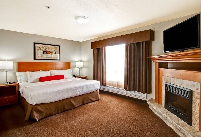 מוטל Canalta Provost