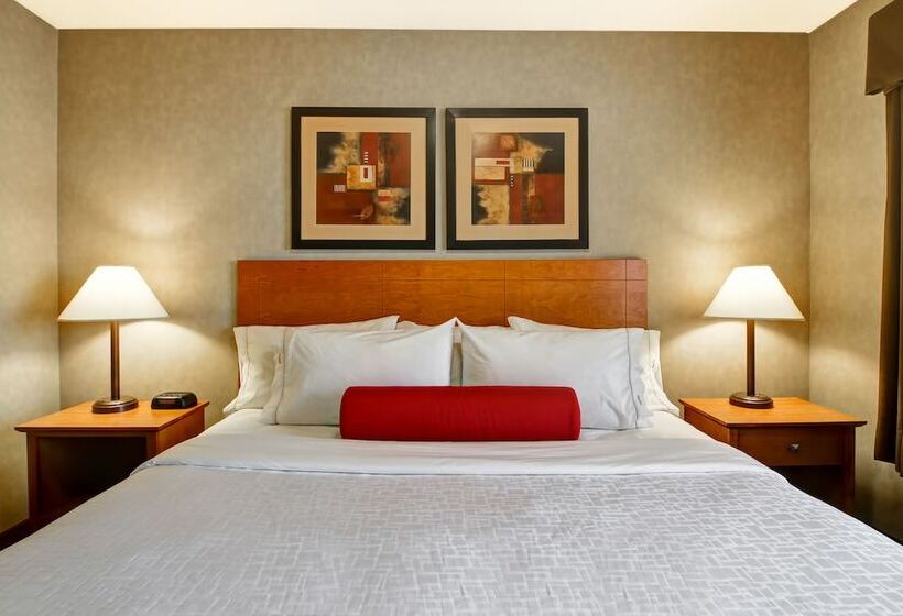 מוטל Canalta Provost