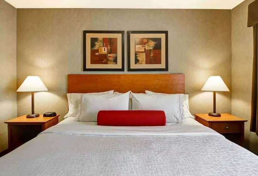 모텔 Canalta Provost