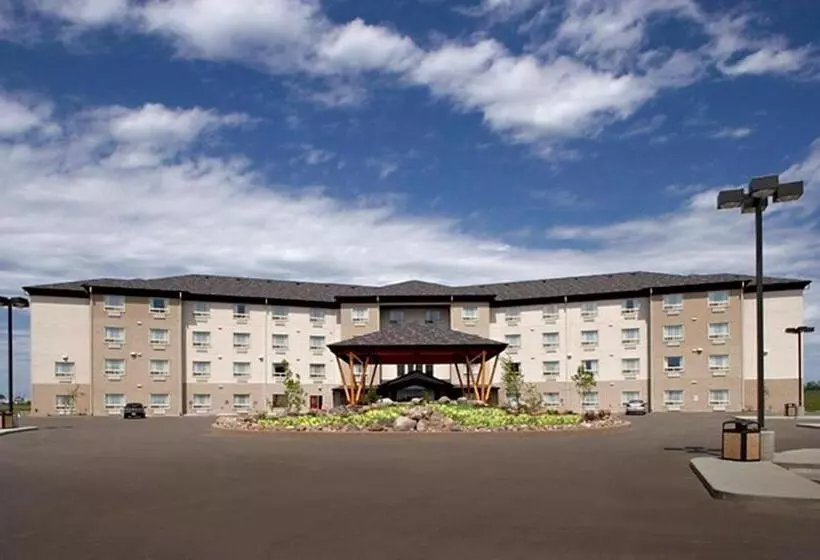 酒店 Gold Eagle Lodge