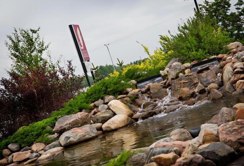 فندق Gold Eagle Lodge