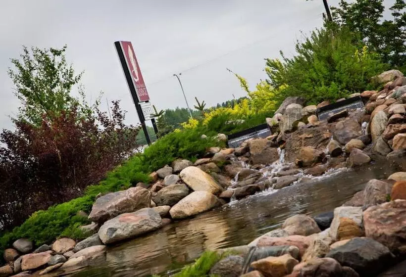 酒店 Gold Eagle Lodge