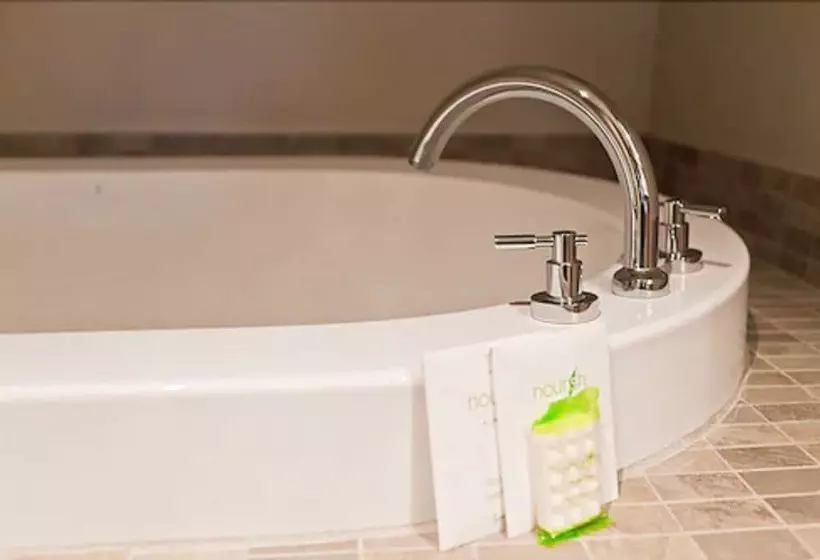 בית מלון כפרי Le Dauphin Montreal Centreville