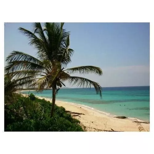 Hotelli Oceanfrontier Hideaway