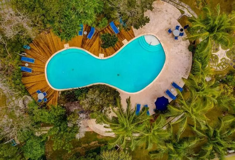 هتل Pineapple Fields