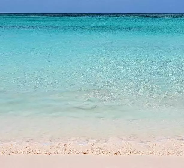 هتل Pineapple Fields