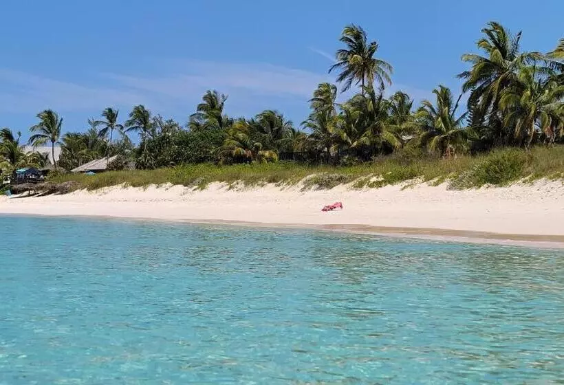 هتل Pineapple Fields