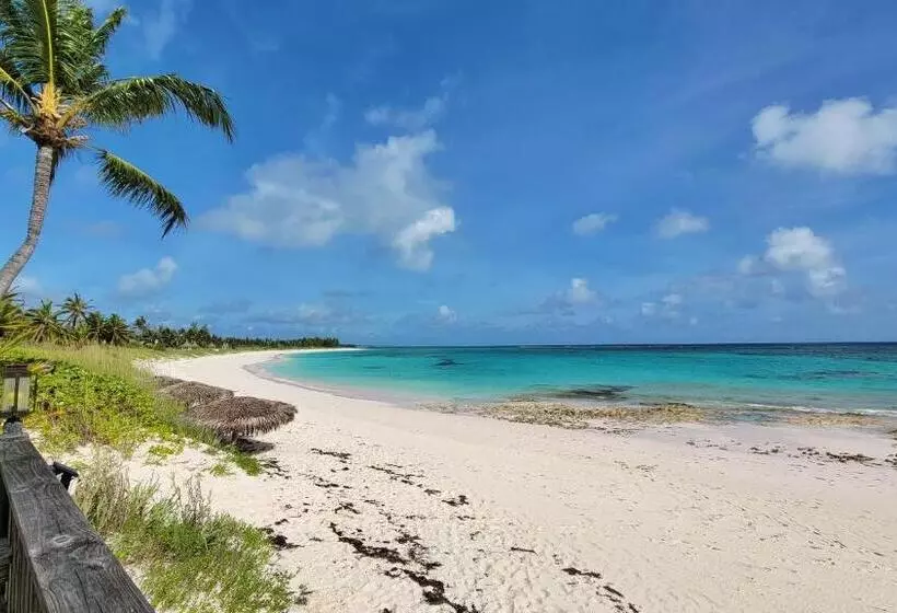 هتل Pineapple Fields