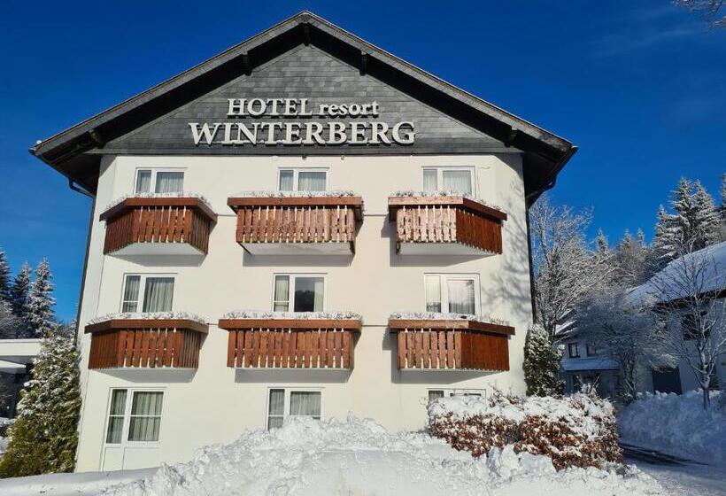 هتل Winterberg Resort