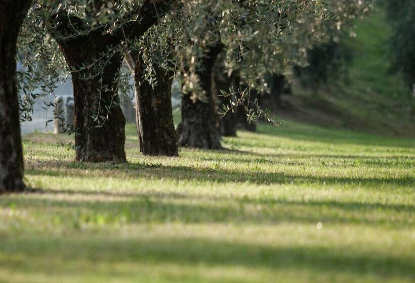 호텔 Villa Arcadio