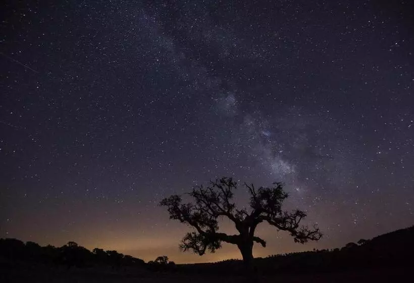 Alentejo Star Hotel   Sao Domingos   Mertola   Duna Parque Resorts & Hotels