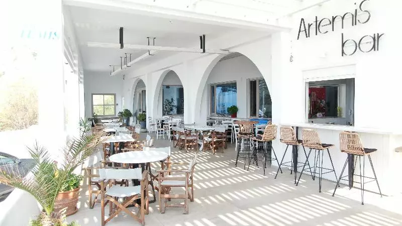 فندق Artemis