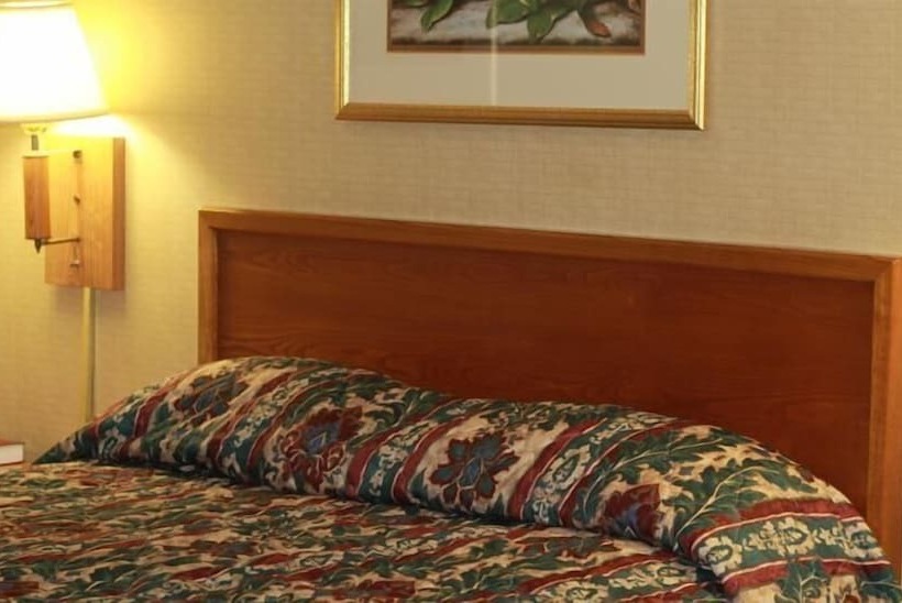 בית מלון כפרי Palmetto Inn Florence