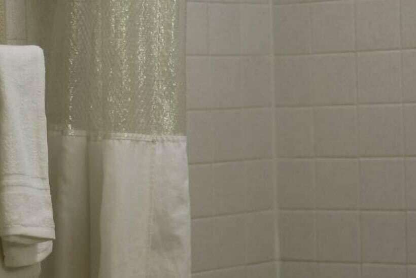 בית מלון כפרי Palmetto Inn Florence