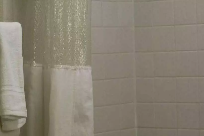 酒店 Palmetto Inn Florence