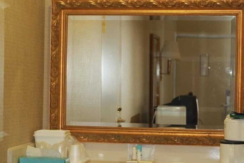 בית מלון כפרי Palmetto Inn Florence