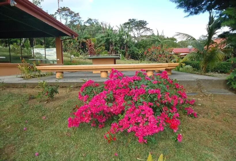 La Catalina Hotel And Suites