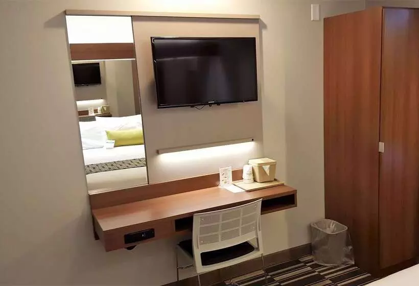 Microtel Inn & Suites By Wyndham Bellevue