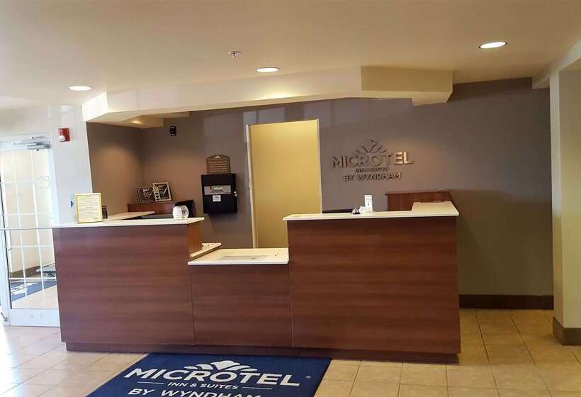 Microtel Inn & Suites By Wyndham Bellevue