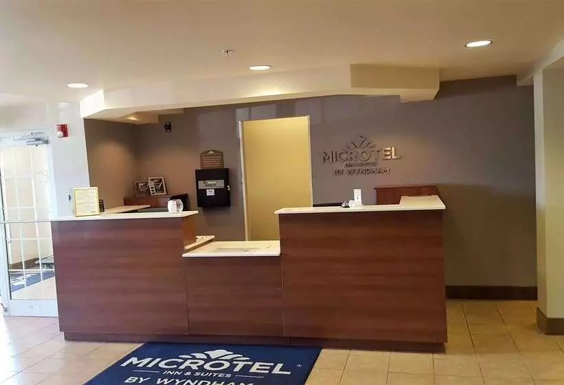 Microtel Inn & Suites By Wyndham Bellevue