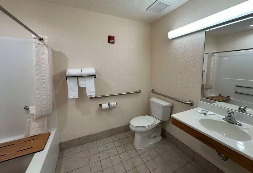 Microtel Inn & Suites By Wyndham Tomah