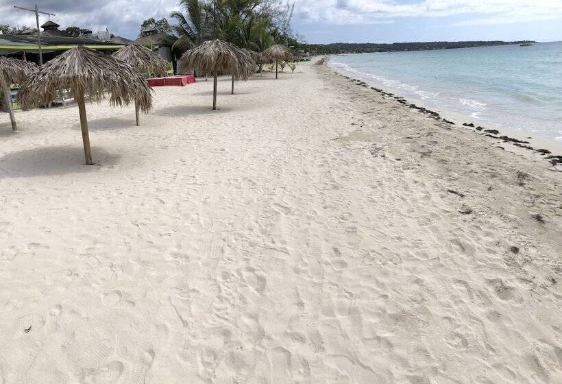 Fun Holiday Beach Resort