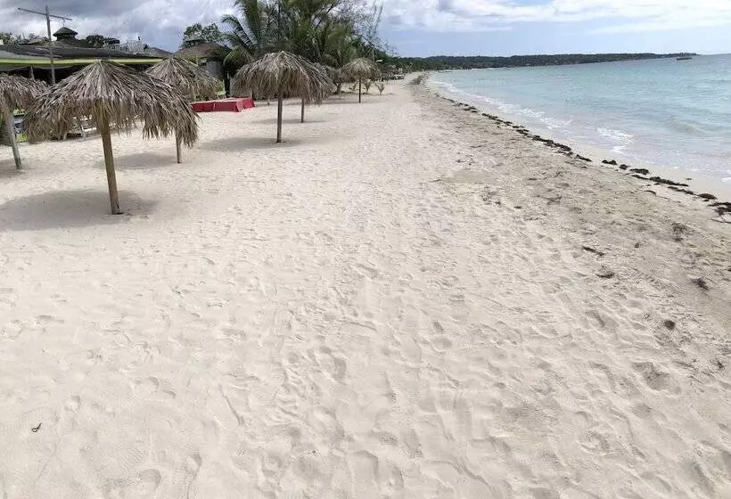 Fun Holiday Beach Resort