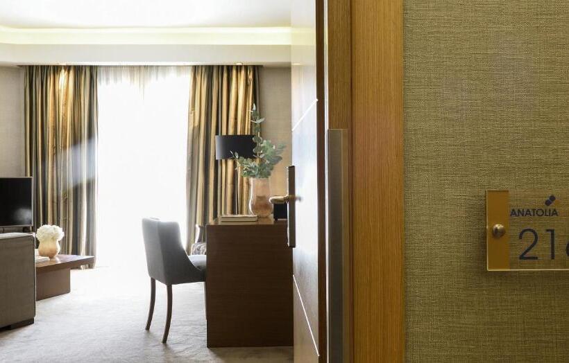 ホテル Anatolia