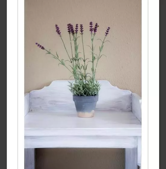 ホテル La Muñequilla