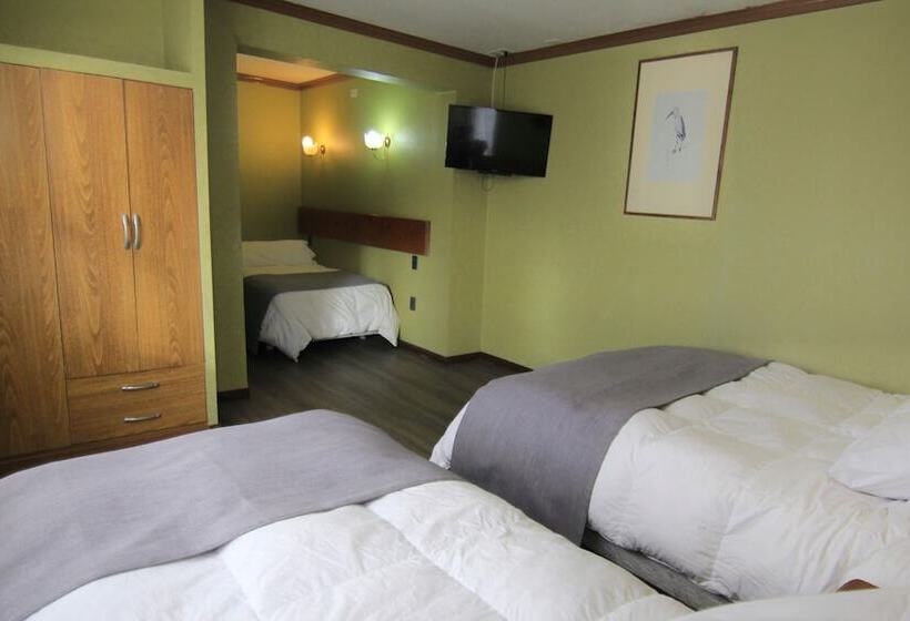 فندق Saltos Del Paine