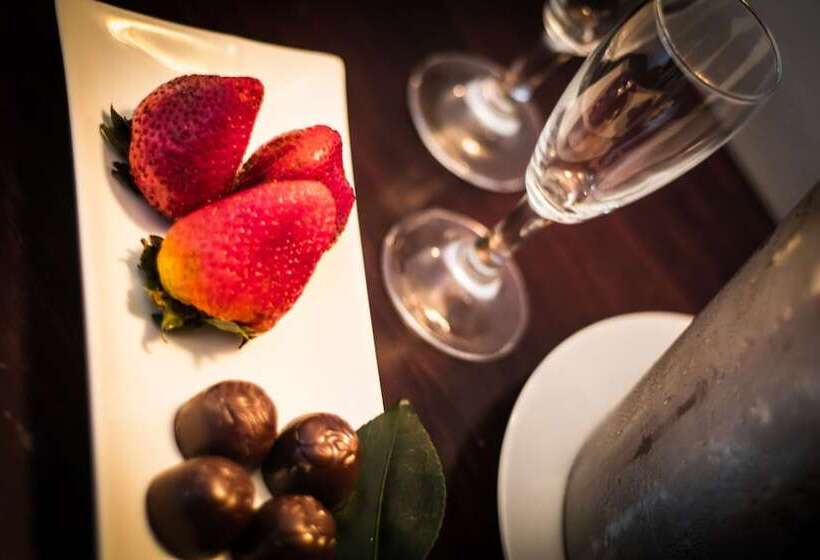 هتل Terrano Concepción