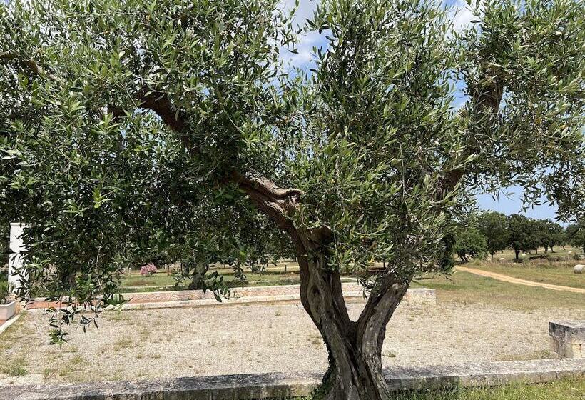 Отель Victor Country