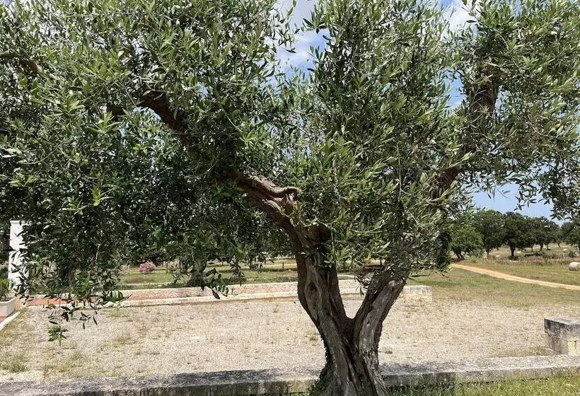 Отель Victor Country