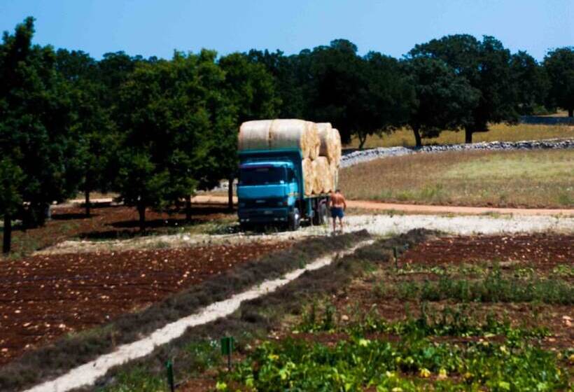 Отель Victor Country