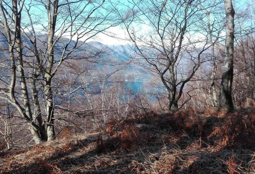 فندق Albergo Diana